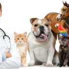 La imagen 1 de la Empresa AGROVET DISTRIBUCIONES FABEMM E.I.R.L. Veterinario en Lima LAM