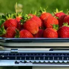 La imagen 4 de la Empresa ALE BALANZAS ELECTRÓNICA Proveedor de maquinaria industrial en Lima LAM