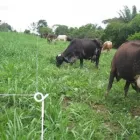 La imagen 1 de la Empresa ASESORES AGROPECUARIOS INTEGRALES S.A.C. Fabricante de herramientas en Lima LAM