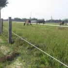 La imagen 4 de la Empresa ASESORES AGROPECUARIOS INTEGRALES S.A.C. Fabricante de herramientas en Lima LAM