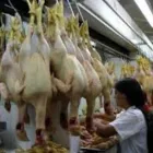 La imagen 4 de la Empresa AVÍCOLA YAKEMY Carnicería en Metropolitana De Lima Perú