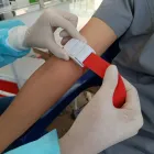 La imagen 1 de la Empresa BIOTEST LAB SAC Reactivos Para Laboratorio en Chiclayo Lambayeque