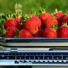 La imagen 4 de la Empresa CD SERVICE BALANZAS SAC Proveedor de maquinaria industrial en Lima LAM