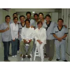 La imagen 5 de la Empresa CENTRO ODONTOLÓGICO DE LA CRUZ Odontología Pediátrica en Cajamarca CAJ