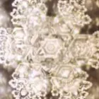 La imagen 2 de la Empresa CLARISSE Purificadores de Agua en Lima LAM