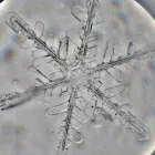 La imagen 4 de la Empresa CLARISSE Purificadores de Agua en Lima LAM