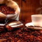La imagen 3 de la Empresa COMERCIALIZADORA CAFÉ REAL Quesería en Lima LAM
