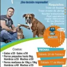 La imagen 3 de la Empresa DKF PET´S CLINICA VETERINARIA Veterinario en Lima LAM