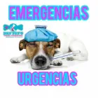 La imagen 8 de la Empresa DKF PET´S CLINICA VETERINARIA Veterinario en Lima LAM
