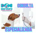 La imagen 12 de la Empresa DKF PET´S CLINICA VETERINARIA Veterinario en Lima LAM