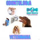 La imagen 14 de la Empresa DKF PET´S CLINICA VETERINARIA Veterinario en Lima LAM