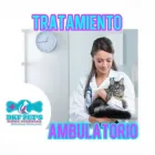 La imagen 21 de la Empresa DKF PET´S CLINICA VETERINARIA Veterinario en Lima LAM
