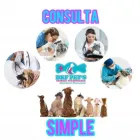 La imagen 26 de la Empresa DKF PET´S CLINICA VETERINARIA Veterinario en Lima LAM