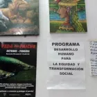 La imagen 6 de la Empresa DRESPAM – DESARROLLO RURAL CON EQUIDAD SOCIAL PAZ PARA EL MUNDO Agencia de Desarrollo Económico en Loreto Perú