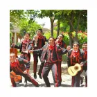 La imagen 4 de la Empresa EL MARIACHI TEXAS Orquesta en La Libertad Perú