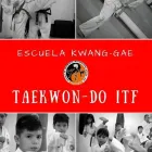 La imagen 1 de la Empresa ESCUELA DE TAEKWON-DO INTERNACIONAL KWANG-GAE Instrucción deportiva en Lima LAM