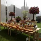 La imagen 5 de la Empresa EVENTOS SOMAFE Servicio de alquiler de carpas en Lima LAM