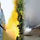 La imagen 3 de la Empresa FUMIGESA Servicio de control de plagas en Lima LAM