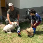 La imagen 9 de la Empresa HOSPEDAJE PARA MASCOTAS PATITAS FELICES Entrenador de perros en Lima LAM