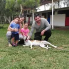 La imagen 11 de la Empresa HOSPEDAJE PARA MASCOTAS PATITAS FELICES Entrenador de perros en Lima LAM