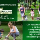 La imagen 14 de la Empresa HOSPEDAJE PARA MASCOTAS PATITAS FELICES Entrenador de perros en Lima LAM