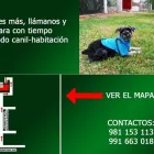 La imagen 17 de la Empresa HOSPEDAJE PARA MASCOTAS PATITAS FELICES Entrenador de perros en Lima LAM