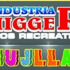 La imagen 1 de la Empresa INDUSTRIA JHIGGER S.A.C. Juguetería en Lima LAM
