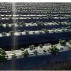 La imagen 1 de la Empresa INVERPLAST DEL PERÚ Fabricante de productos de plástico en Lima LAM