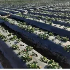 La imagen 3 de la Empresa INVERPLAST DEL PERÚ Fabricante de productos de plástico en Lima LAM