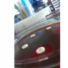 La imagen 3 de la Empresa LABORATORIO CLINICO EMS Laboratorio de análisis clínicos en Lima LAM