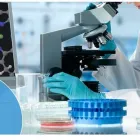 La imagen 5 de la Empresa LABORATORIO DE ANÁLISIS CLÍNICOS Y MICROBIOLÓGICOS SOLIDARIDAD Laboratorio de análisis clínicos en Cajamarca CAJ