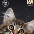 La imagen 2 de la Empresa LEOCAT Tienda para Mascotas en Lima LAM