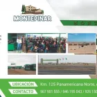 La imagen 3 de la Empresa LOTVARS Venta en Lima LAM