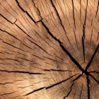 La imagen 4 de la Empresa MADERERA TOTORITA S.A.C. Proveedor de maquinaria de construcción en Lima LAM