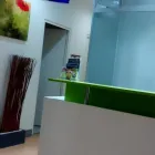 La imagen 2 de la Empresa MAGNOLIA ESTÉTICA & SALUD Spa en Lima LAM