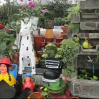 La imagen 2 de la Empresa MAX GRASS - JARDINERÍA Paisajista en Lima LAM