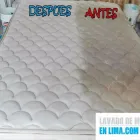 La imagen 8 de la Empresa MR. CLEAN PREMIUM Servicio de limpieza de alfombras en Comas LAM