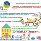 La imagen 1 de la Empresa NIDO BRIGHT MEADOWS Psicomotricidad en Lima LAM