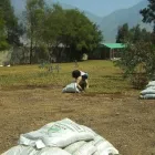 La imagen 4 de la Empresa NUTRI ORGÁNICOS S.A.C. Mercado de productos agrícolas en Lima LAM