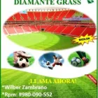 La imagen 11 de la Empresa OAK SPORT GRASS SINTÉTICO Venta de Pasto Sintético Lima en Lima LAM