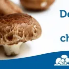 La imagen 5 de la Empresa PACCU - CHAMPIÑONES Tienda de alimentos naturales en Lima LAM