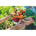 La imagen 4 de la Empresa PACIFIC OCEAN SUPPLIERS E.I.R.L. Supermercado de barrio en Perú LAM