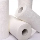 La imagen 5 de la Empresa PAPELERA LATINOAMERICANA Fábrica de Papel en Lurín LAM