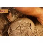 La imagen 2 de la Empresa PERUVIAN ADVISERS Contratista de excavación en Lima LAM