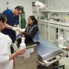 La imagen 5 de la Empresa POLICLÍNICO SALUD VITAL Laboratorio de análisis clínicos en Lima LAM