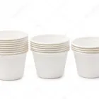 La imagen 7 de la Empresa POLYSTAR PERU SAC Equipos de fabricación en Lima LAM