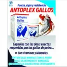 La imagen 4 de la Empresa PROSEVAR SAC Planta de productos químicos en Lima LAM