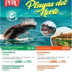 La imagen 2 de la Empresa PUMA TRAVEL Centro de información turística en Arequipa ARE