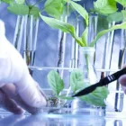 La imagen 1 de la Empresa QUÍMICOS PAUDELA S.A.C. Planta de productos químicos en Lima LAM