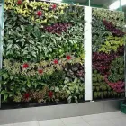 La imagen 3 de la Empresa RIEGO & JARDIN Paisajista en Lima LAM